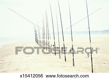 Stock Photo - south america, 
uruguay, punta 
del este, fishing 
poles on the beach. 
fotosearch - search 
stock photos, 
pictures, images, 
and photo clipart