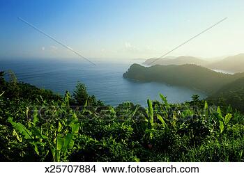 Stock Photo - west indies, trinidad, 
view from maraca 
point. fotosearch 
- search stock 
photos, pictures, 
images, and photo 
clipart