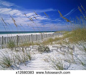 Stock Photo - usa, florida, 
gulf islands national 
seashore, santa 
rosa island. fotosearch 
- search stock 
photos, pictures, 
images, and photo 
clipart