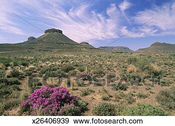 Stock Photograph - south africa, 
northern cape 
province, great 
karoo, three sisters. 
fotosearch - search 
stock photos, 
pictures, images, 
and photo clipart