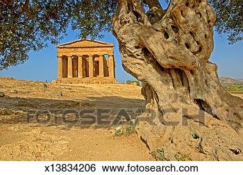 Stock Photo - italy, sicily, 
agrigente, temple 
of concorde. fotosearch 
- search stock 
photos, pictures, 
images, and photo 
clipart
