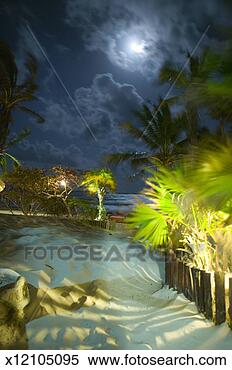 Stock Image - moon and clouds 
over beach at 
night. fotosearch 
- search stock 
photos, pictures, 
images, and photo 
clipart