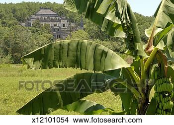Stock Photo - vietnam, hue, 
tomb of khai dinh 
(focus on banana 
tree in foreground). 
fotosearch - search 
stock photos, 
pictures, images, 
and photo clipart
