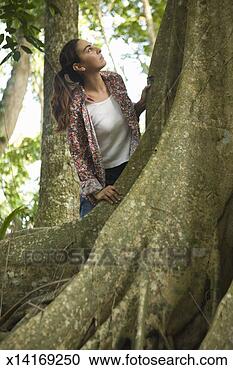 Stock Photography - young woman standing 
beside huge tree, 
watching upwards. 
fotosearch - search 
stock photos, 
pictures, images, 
and photo clipart