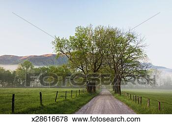 Stock Photo - usa, tennessee, 
great smoky mountains 
national park, 
sparks lane. fotosearch 
- search stock 
photos, pictures, 
images, and photo 
clipart