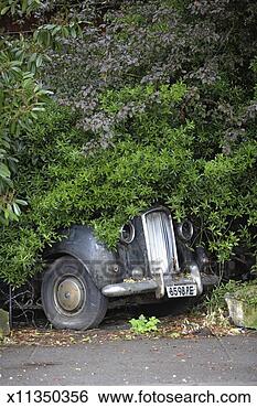 Stock Photo - dilapidated old 
fashioned car 
partially hidden 
by trees on side 
of. fotosearch 
- search stock 
photos, pictures, 
images, and photo 
clipart
