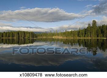 Stock Photo - forest and cloud 
reflected in wickiup 
lake,  deschutes 
national. fotosearch 
- search stock 
photos, pictures, 
images, and photo 
clipart