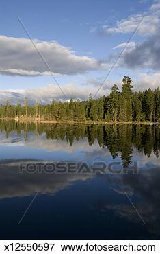 Picture - forest and cloud 
reflected in wickiup 
lake,  deschutes 
national. fotosearch 
- search stock 
photos, pictures, 
images, and photo 
clipart