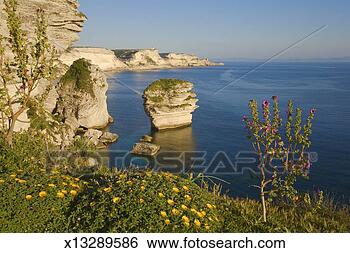 Stock Photo - france, corsica, 
bonifacio, clifftop 
vegetation, cliffs 
in distance. fotosearch 
- search stock 
photos, pictures, 
images, and photo 
clipart