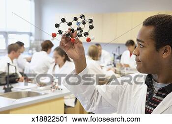 Stock Photography - male college student 
examining molecular 
model in science 
class. fotosearch 
- search stock 
photos, pictures, 
images, and photo 
clipart