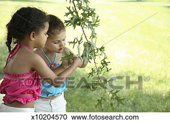Stock Photography - two sisters (3-4) 
examining insect 
on leaves in park. 
fotosearch - search 
stock photos, 
pictures, images, 
and photo clipart