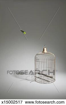 Picture - empty bird cage 
with parrot feather 
falling, (digital 
composite). fotosearch 
- search stock 
photos, pictures, 
images, and photo 
clipart