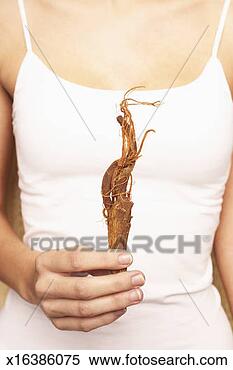 Stock Image - young woman holding 
ginseng, mid section 
(focus on ginseng). 
fotosearch - search 
stock photos, 
pictures, images, 
and photo clipart