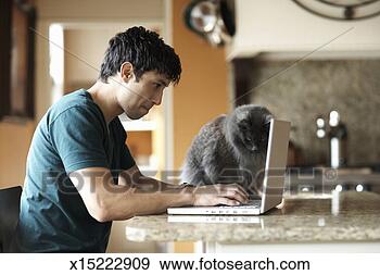 Stock Photograph - cat sitting beside 
man using laptop 
in domestic kitchen, 
side view. fotosearch 
- search stock 
photos, pictures, 
images, and photo 
clipart