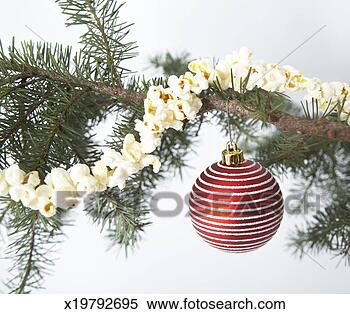 Stock Image - christmas ornament 
and popcorn string 
on christmas tree. 
fotosearch - search 
stock photos, 
pictures, images, 
and photo clipart