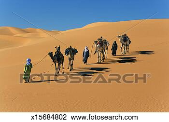 Stock Photo - men walking with 
dromedary camels 
(camelus dromedaris) 
in desert. fotosearch 
- search stock 
photos, pictures, 
images, and photo 
clipart