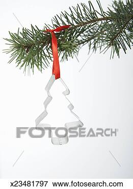Picture - tree-shaped pastry 
cutter ornament 
on christmas tree, 
close-up. fotosearch 
- search stock 
photos, pictures, 
images, and photo 
clipart