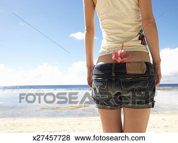 Stock Photo - hibiscus tucked 
in woman' s jeans, 
rear view. fotosearch 
- search stock 
photos, pictures, 
images, and photo 
clipart