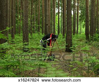 Stock Photo - person bending 
under hood of 
old-fashioned 
camera in forest. 
fotosearch - search 
stock photos, 
pictures, images, 
and photo clipart