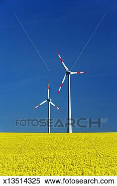 Stock Image - germany, rostock, 
radegast, wind 
turbines on rape 
field. fotosearch 
- search stock 
photos, pictures, 
images, and photo 
clipart