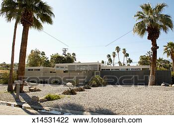 Stock Photo - usa, california, 
palm springs, 
modern house and 
palm trees. fotosearch 
- search stock 
photos, pictures, 
images, and photo 
clipart