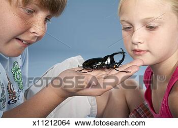 Stock Photo - boy (10-11) and 
girl (8-9) looking 
at beetle, close-up. 
fotosearch - search 
stock photos, 
pictures, images, 
and photo clipart