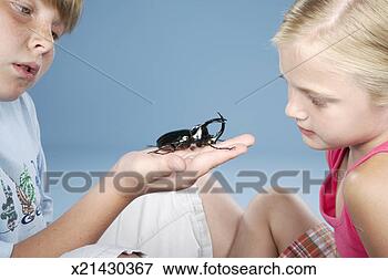 Picture - boy (10-11) and 
girl (8-9) looking 
at beetle, close-up. 
fotosearch - search 
stock photos, 
pictures, images, 
and photo clipart