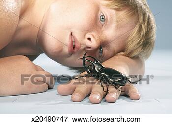 Picture - boy (10-11) looking 
at large black 
beetle crawling 
on hand, close-up. 
fotosearch - search 
stock photos, 
pictures, images, 
and photo clipart