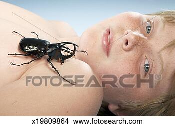 Stock Photo - shirtless boy 
(10-11) lying 
down with large 
beetle crawling 
on chest. fotosearch 
- search stock 
photos, pictures, 
images, and photo 
clipart