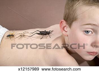Stock Photograph - shirtless boy 
(8-9) lying down 
with grasshopper, 
 spider and cicada. 
fotosearch - search 
stock photos, 
pictures, images, 
and photo clipart