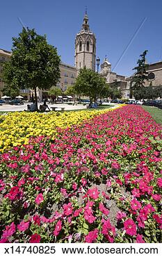 Stock Image - spain,  valencia, 
 flowers on plaza 
de la reina,  
cathedral and 
el. fotosearch 
- search stock 
photos, pictures, 
images, and photo 
clipart