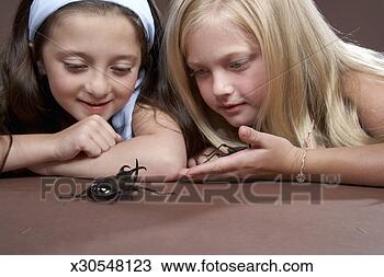 Stock Photo - two girls (7-8) 
lying down and 
looking at large 
black beetle, 
close-up. fotosearch 
- search stock 
photos, pictures, 
images, and photo 
clipart