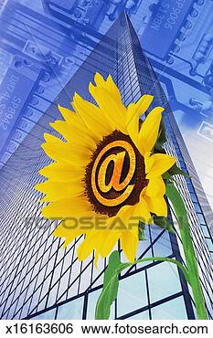 Stock Illustration - flower with @ 
symbol in front 
of skyscraper. 
fotosearch - search 
clipart, illustration, 
drawings and vector 
eps graphics images