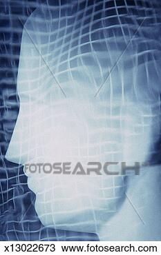 Stock Photo - computer-generated 
grid superimposed 
on profile of 
mannequin head. 
fotosearch - search 
stock photos, 
pictures, images, 
and photo clipart