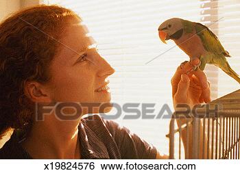 Stock Photo - parrot perching 
on girl's finger. 
fotosearch - search 
stock photos, 
pictures, images, 
and photo clipart