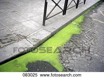 Stock Image - green liquid on 
a city street, 
paris, france. 
fotosearch - search 
stock photos, 
pictures, images, 
and photo clipart