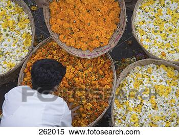 Stock Image - person bending 
over basket full 
of flowers at 
market, mumbai, 
india. fotosearch 
- search stock 
photos, pictures, 
images, and photo 
clipart