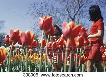 Stock Photo - two women wearing 
red clothing in 
a field of tulips. 
fotosearch - search 
stock photos, 
pictures, images, 
and photo clipart