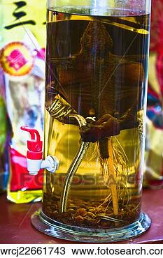 Stock Photo - close-up of ginseng 
in a bottle, tai'an, 
shandong province, 
china. fotosearch 
- search stock 
photos, pictures, 
images, and photo 
clipart