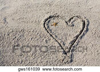 Stock Photograph - high angle view 
of a starfish 
in a heart drawn 
in sand. fotosearch 
- search stock 
photos, pictures, 
images, and photo 
clipart
