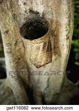 Stock Photo - high angle view 
of a wicker basket 
on a tree trunk. 
fotosearch - search 
stock photos, 
pictures, images, 
and photo clipart