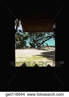 Stock Photo - trees seen through 
the window of 
a house. fotosearch 
- search stock 
photos, pictures, 
images, and photo 
clipart