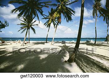 Stock Photo - view of a beach 
with white sands 
and palm trees, 
barbados. fotosearch 
- search stock 
photos, pictures, 
images, and photo 
clipart