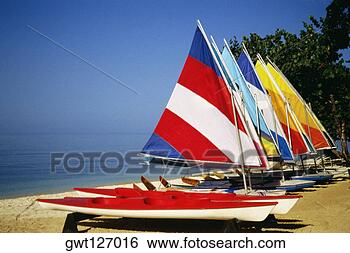 Stock Photo - brightly colored 
sails on windsurf 
boards at hedonism 
resort, jamaica. 
fotosearch - search 
stock photos, 
pictures, images, 
and photo clipart