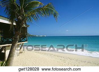 Stock Photo - side view of a 
vast and calm 
beach, st maarten, 
caribbean. fotosearch 
- search stock 
photos, pictures, 
images, and photo 
clipart