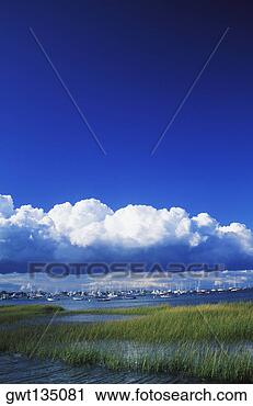 Stock Photography - sailboats in a 
river, cape cod, 
massachusetts, 
usa. fotosearch 
- search stock 
photos, pictures, 
images, and photo 
clipart