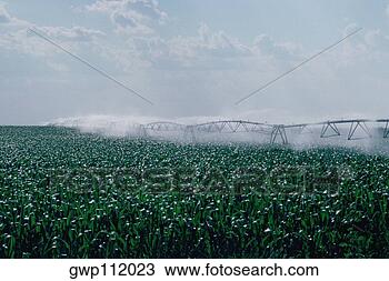 Stock Photo - center pivot irrigation 
system. fotosearch 
- search stock 
photos, pictures, 
images, and photo 
clipart