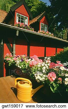 Picture - flowers in front 
of a restaurant, 
tivoli gardens, 
copenhagen, denmark. 
fotosearch - search 
stock photos, 
pictures, images, 
and photo clipart
