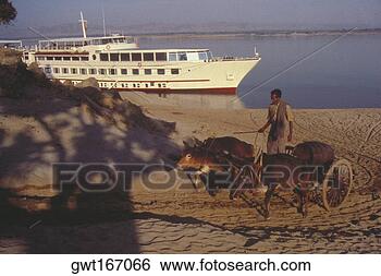Stock Photo - man riding on 
an ox cart with 
a cruise ship 
in behind, bagan, 
myanmar. fotosearch 
- search stock 
photos, pictures, 
images, and photo 
clipart