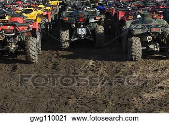 Arquivo de Fotografia - quadbikes,  deserto. 
fotosearch - busca 
de fotos, imagens 
e clipart